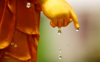 Ứng dụng lời Phật dạy trong đời sống hằng ngày