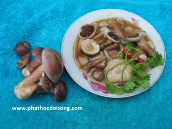Cách nấu nấm tràm xào xả ớt