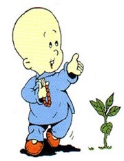 Nói năng như chánh Pháp