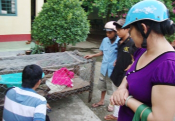 Bến Tre: Đổ xô đến chùa Mỹ Hưng xem ‘rồng thần’