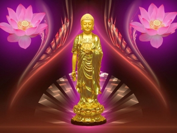 Video 48 đại nguyện của Đức Phật A Di Đà