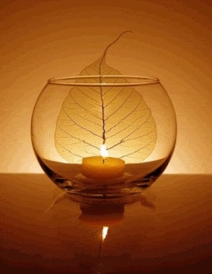 Tâm chư Phật sẽ thành