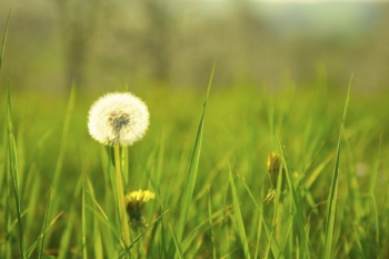 Liệu có sự sống sau khi chết hay không