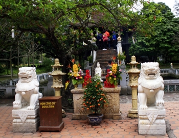 Sư tử Trung Quốc ngự tại đền chùa VN: “Đây quả thực là một sai lầm”