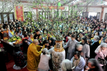 Chùa Bằng: Ấm áp ngày đầu xuân Quý Tỵ