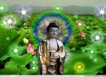 Đi tìm Đức Phật