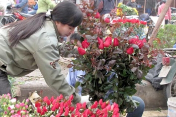 Cách giữ cho cây, hoa tươi