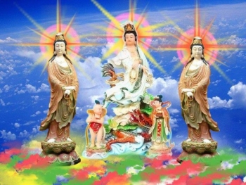 Vãng sinh Tịnh Độ luận giảng ký (Phần7)