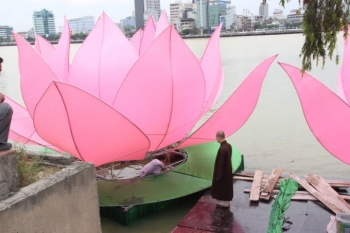 Sen đã nở trên sông Hàn