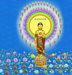 Sống trong bổn nguyện của Phật A Di Đà