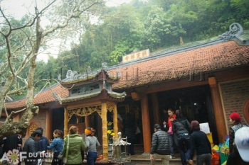 Hành hương tháng ba ngắm mai vàng trên đỉnh Yên Tử