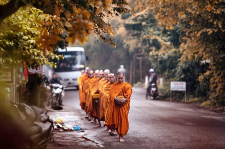 Độ mình độ người qua hạnh khất thực