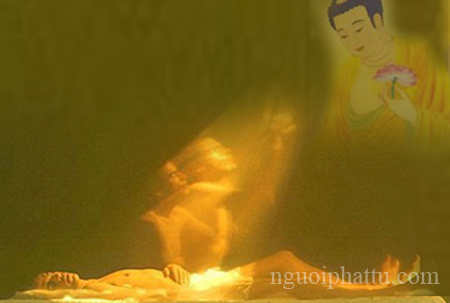 Khi lâm chung, thấy có điềm lành có phải là triệu chứng giải thoát không?