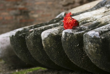 Tìm hiểu kinh Sa Môn Quả