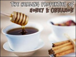 Mật ong và quế: Bài thuốc dân gian chữa rất nhiều bệnh
