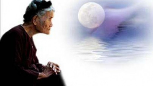 Một lời thăm mẹ