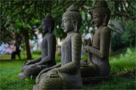 Một số câu, cụm từ liên quan đến Phật giáo cần bàn luận