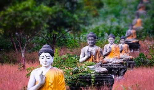 Muốn tìm hiểu Phật giáo hãy đọc bài viết này
