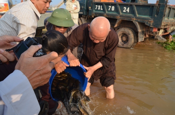 Nghi thức phóng sanh 
