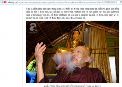 Lừa đảo về hoa Ưu Đàm và sự tiếp tay của một số báo chí truyền thông Việt (phần 3)