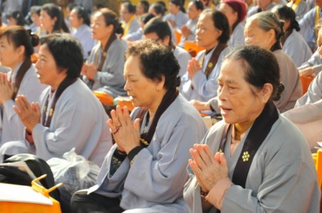 Ngày thứ hai của khóa tu Tịnh Độ tại chùa Bằng
