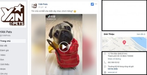 Yan Pets gửi thư xin lỗi đến cộng đồng Phật giáo