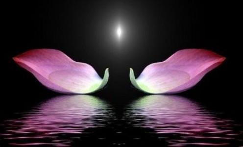 Nhân duyên vào Đạo Phật