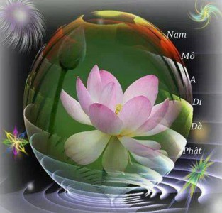 Người niệm Phật phải dứt tâm ái để vãng sanh