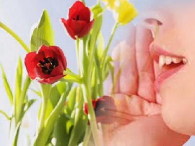 Nói nhiều lời ti tiện, ganh ghét thì cuộc đời cũng sẽ gặp nhiều ti tiện 