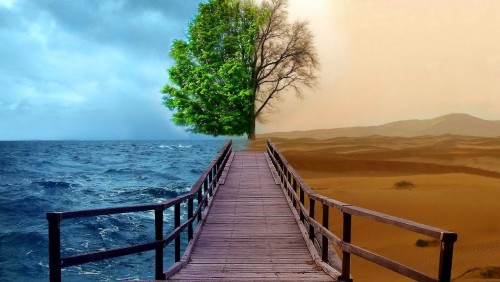 Ở trọ ngay nhà mình