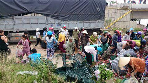 Ô tô chở hoa quả bị lật và tấm lòng người dân Quảng Trị