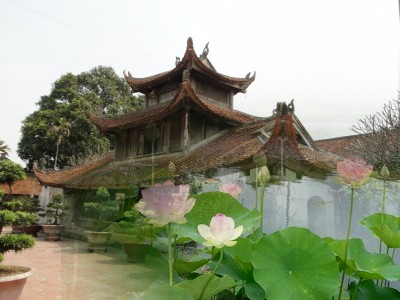 Phật giáo Việt Nam trong dòng chảy đương đại