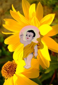 Tôn ảnh Đức Phật Thích Ca đản sanh chào mừng Vesak 2014