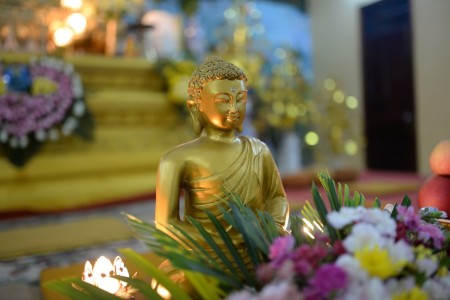 Lý Tưởng của người Bồ-tát - Sự giác ngộ của Đức Phật và sự giác ngộ của các đệ tử của Ngài (Phần 8)