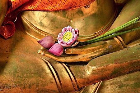 Tại sao phải niệm Nam mô tiếp dẫn Đạo sư A Di Đà Phật khi có người mất ?