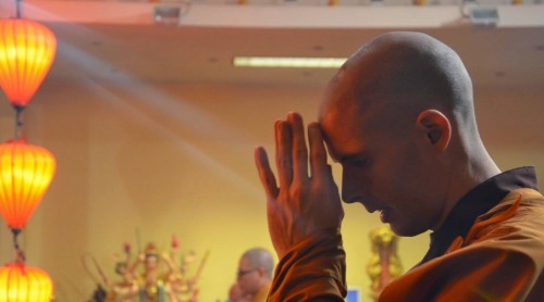 Tàm-quý dệt một mùa xuân