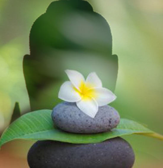 Phật Giáo: Một thể dạng phi-bạo-lực của nội tâm