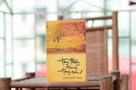 'Tay Thầy Trong Tay Con' những 