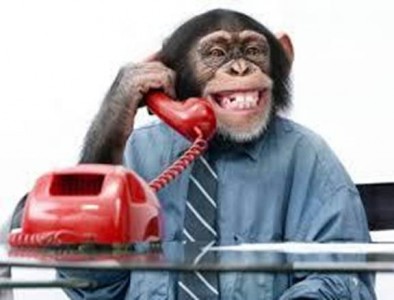 Tết Bính Thân tản mạn về tâm khỉ