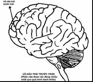 Thiền dưới ánh sáng khoa học