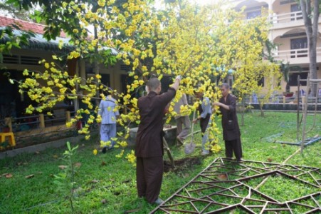 Những bài thơ Xuân