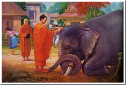 Mười lý do nên tu tập từ bi quán