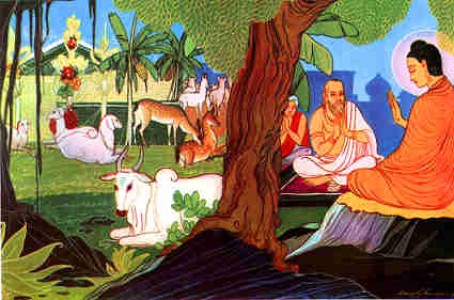 Quán chiếu và thực tập Tứ vô lượng tâm