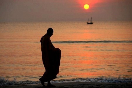 Vi diệu pháp