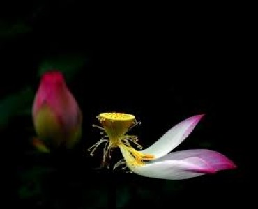 Hiểu cho đúng nghĩa vô thường của đạo Phật