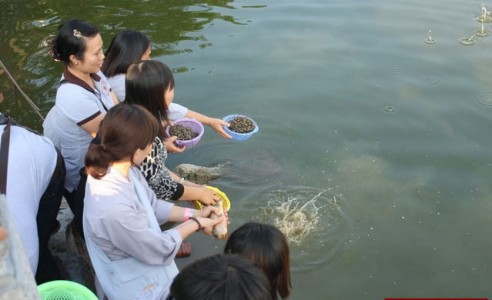 Vô tình sát sinh tội có nặng không?