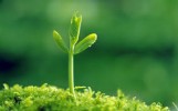 Tin nhân quả là người có trí tuệ