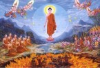 Tại sao Đức Phật im lặng trong 7 tuần sau khi thành Đạo?
