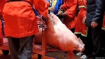 Chém lợn, đâm trâu: Truyền thống hay phi văn hóa