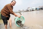 Phóng sinh một vài suy tư
